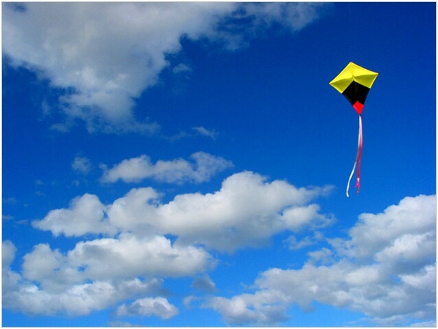 Kite-Flying with Bill 