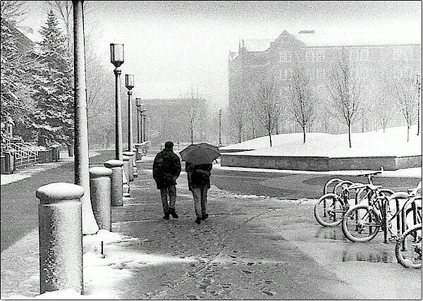 Campus in Blizzard