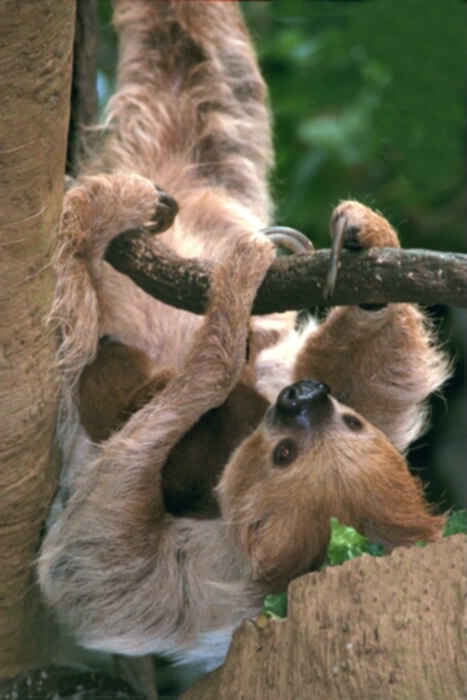 Just Hanging Around