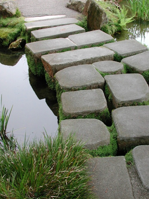 Stepping Stone Path across Water