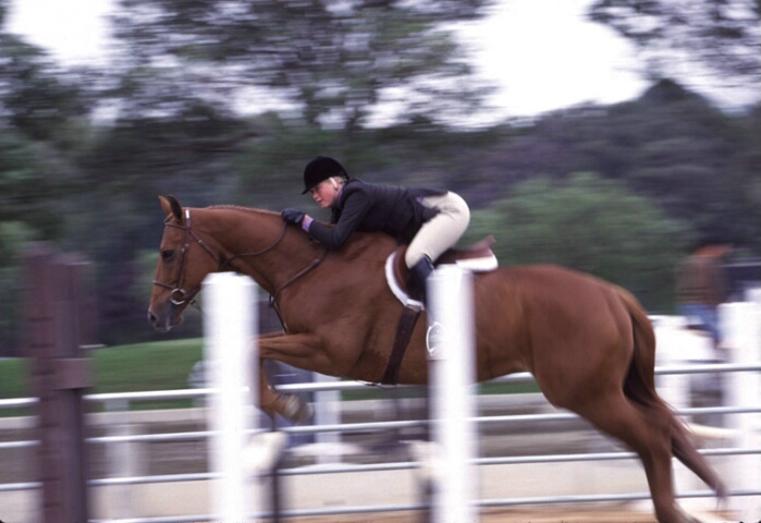 Horse jumping