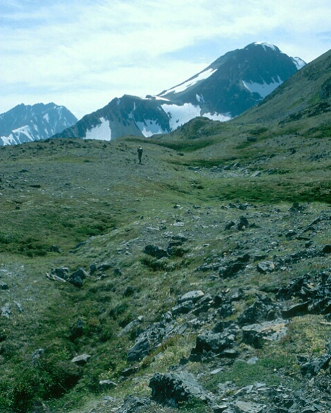 alone in Alaska