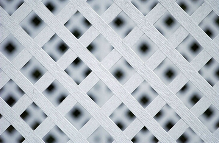 Lattice