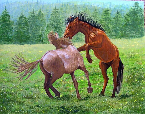 "Stallions at Play"