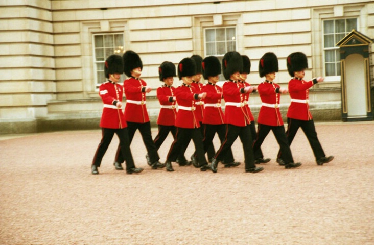 The Palace Guards