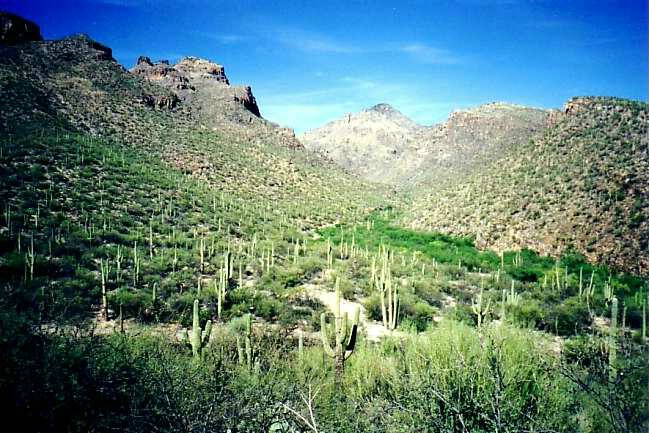 Bear Creek Riparian Corridor