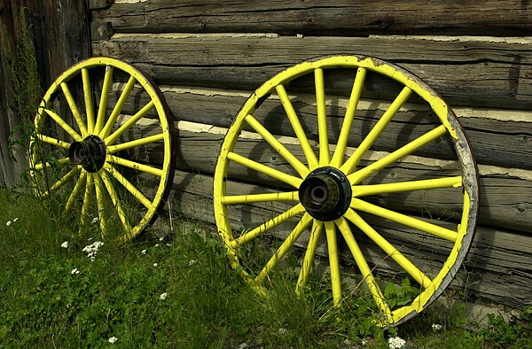 Wagon Wheels - Form