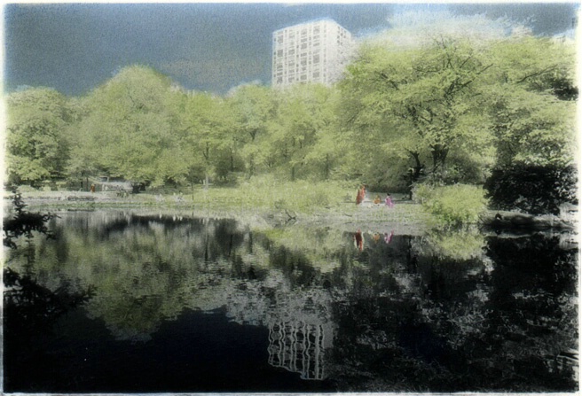 Pond in Central Park
