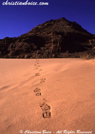 Footprints in the Sand