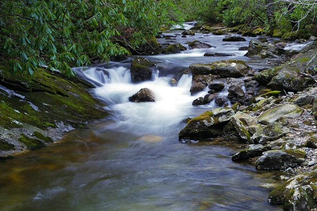 Courthouse Creek