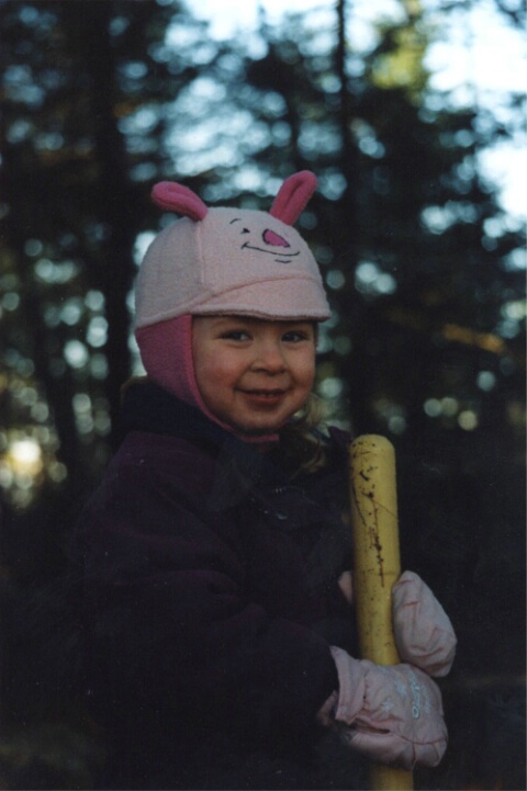 winter baseball