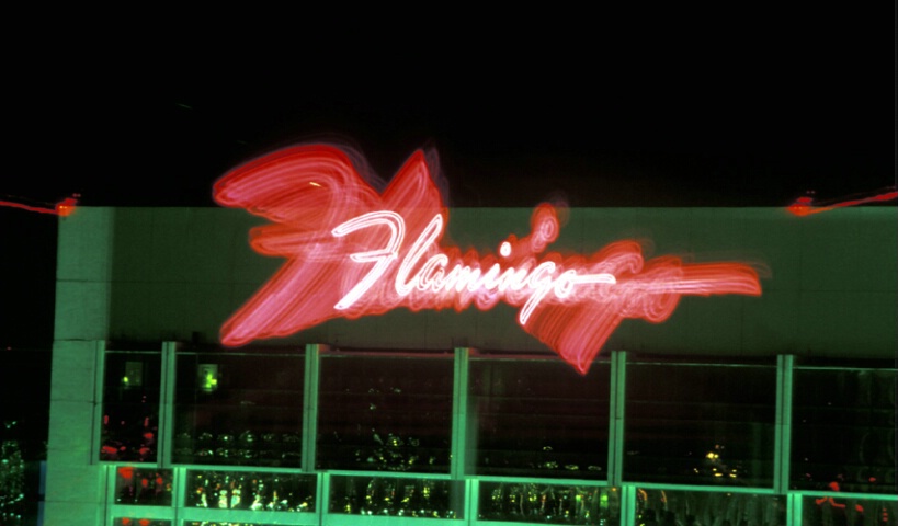 Exploding Flamingo