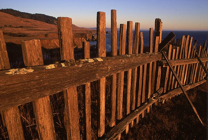 Fence at Sunset