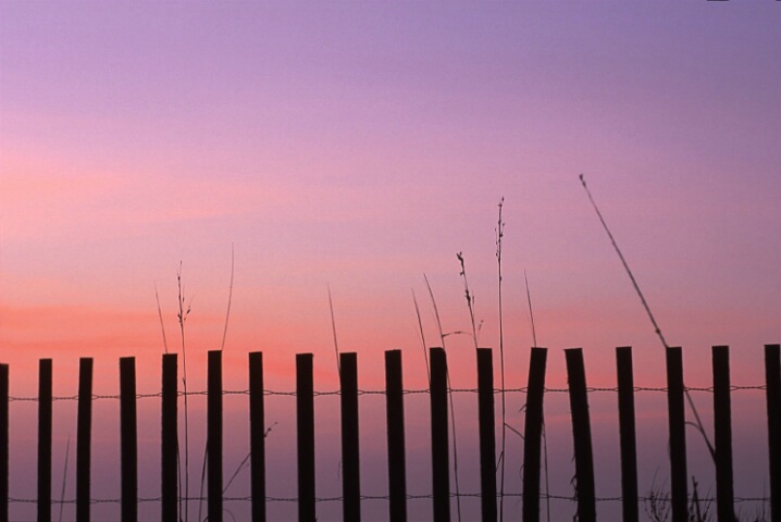 dawn fence