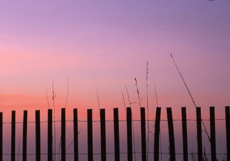 dawn fence