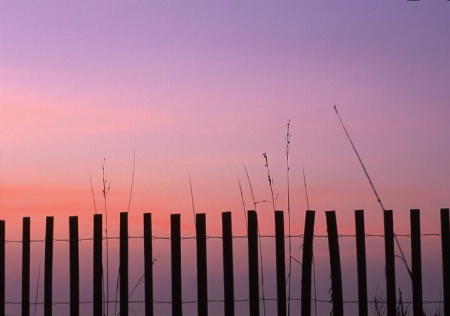 dawn fence