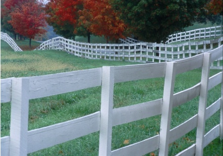 winding fence