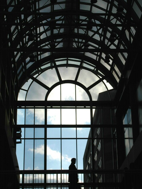 Looking Out from the Eaton Centre