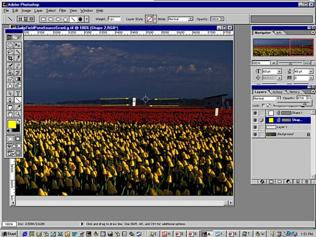 Tulip Pano - Screen 2