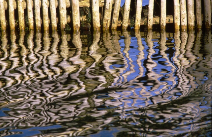 pilings and reflection