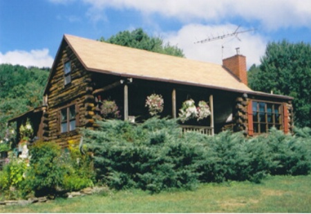 Winne Hollow Log Cabin, Before