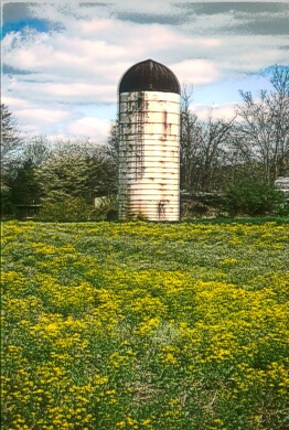 spring silo