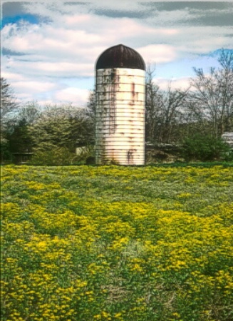 spring silo
