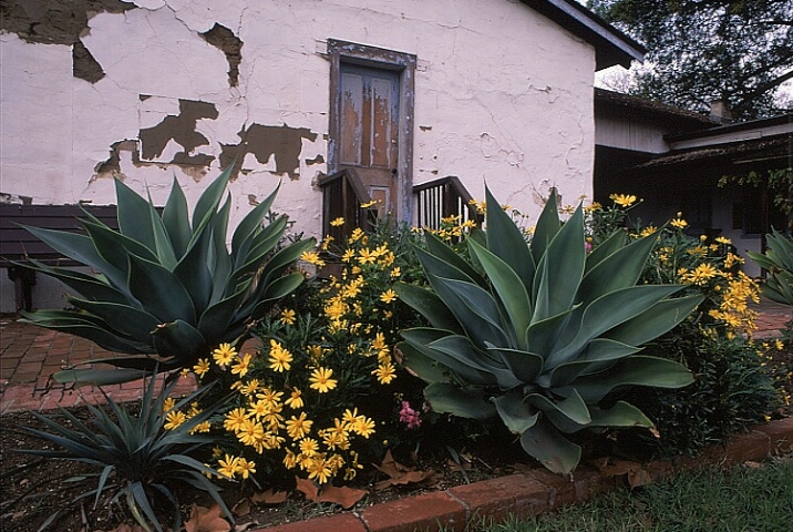 California Adobe 1