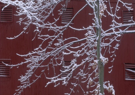 snowy_tree_barn.tif