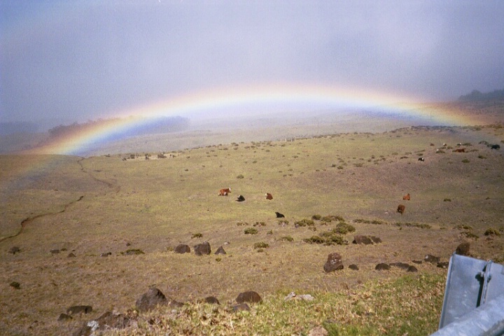 Rainbow over Beasts