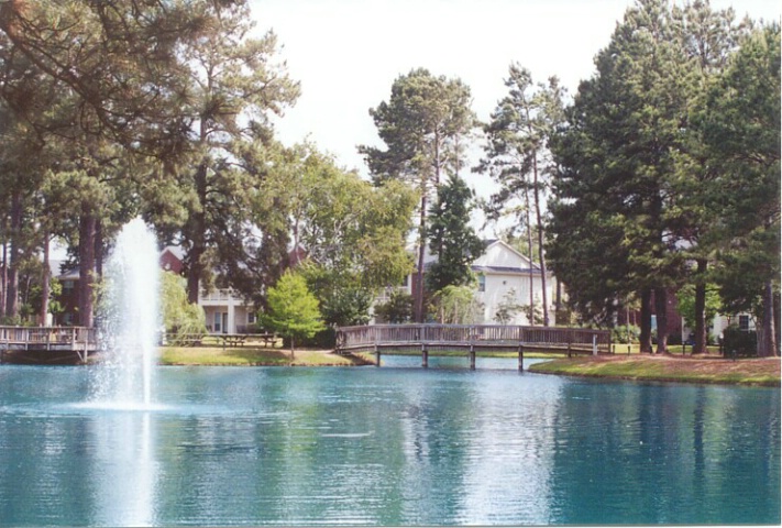 Water Fountain and Bridge