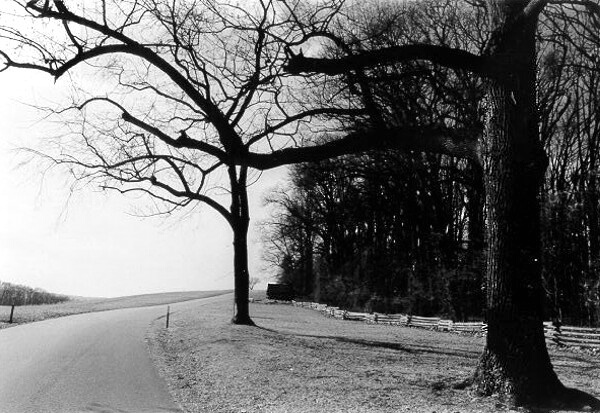 Valley Forge BW#1
