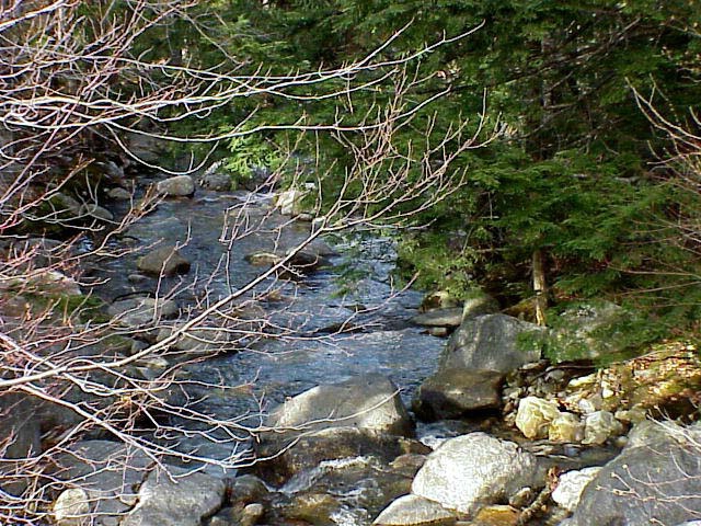 New Hampshire Streams