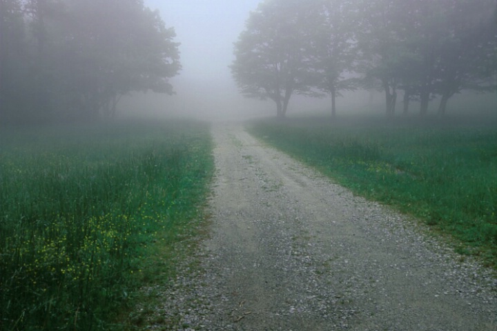 Foggy_road.tif
