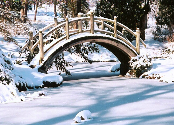 Snow Covered Bridge