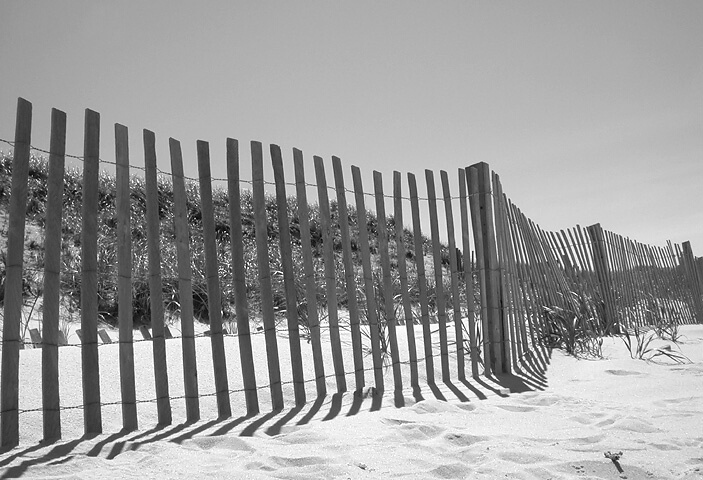Fence on Cape Cod