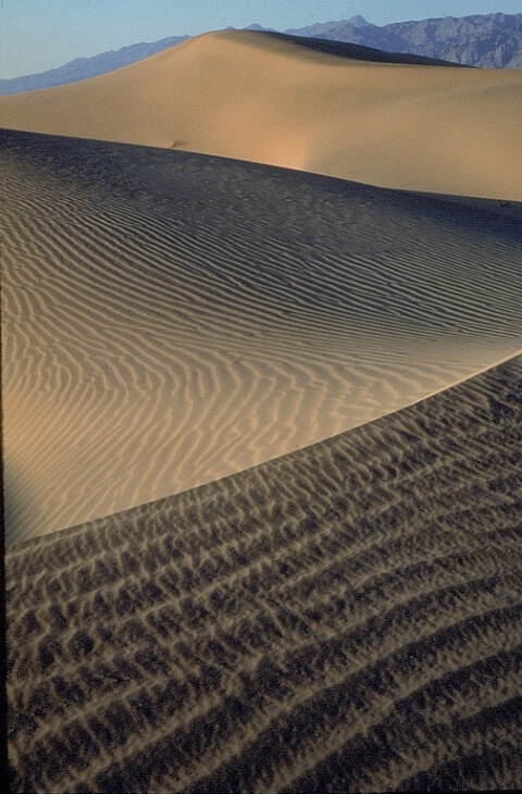 Sand Dunes 1