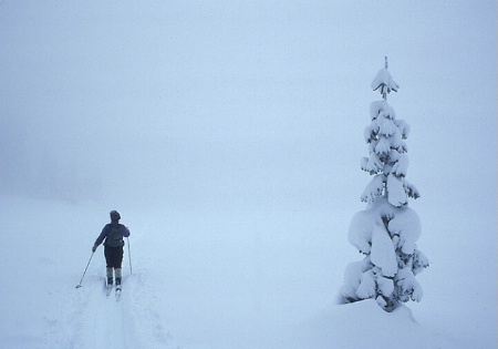 Lone Pine & Lone Skier