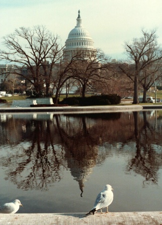 Capitol Reflections
