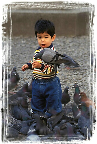 CJ Feeding the Pigeons