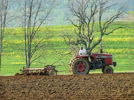 preparing the soil
