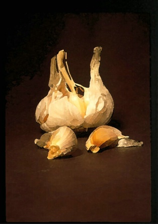 Garlic Still Life