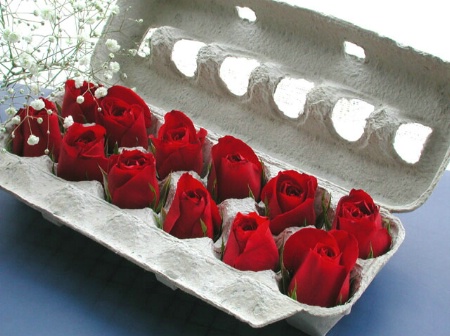 A Dozen Red Roses