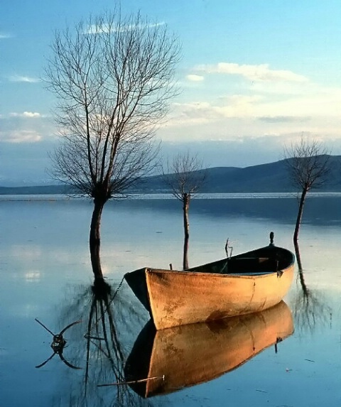 lonesome boat