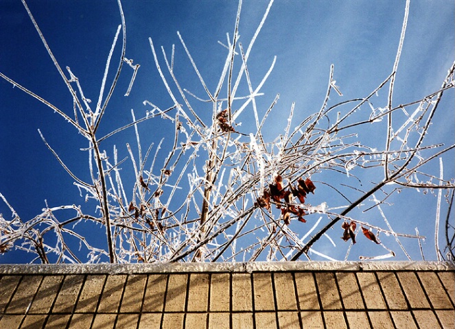 Sun and Frost