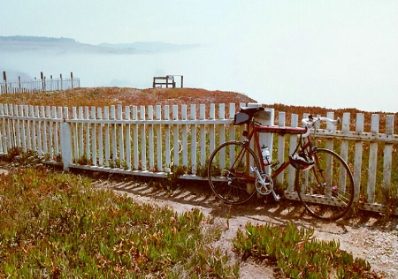 Pigeon Point Pickets