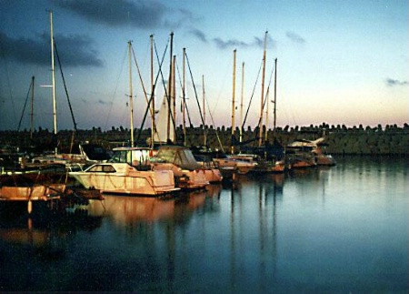 Boats at the marine.