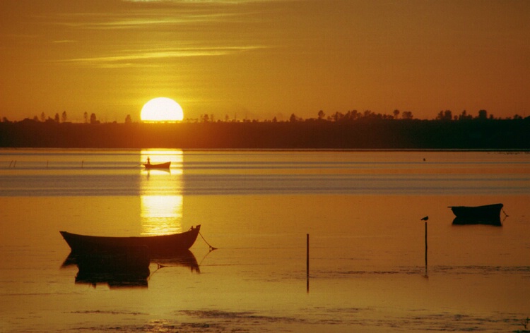 Sunset at sea