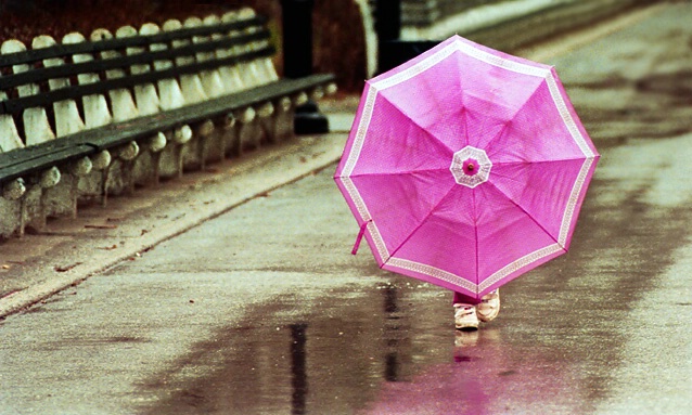 Purple Umbrella