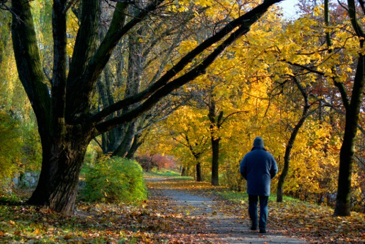 Fall morning walk